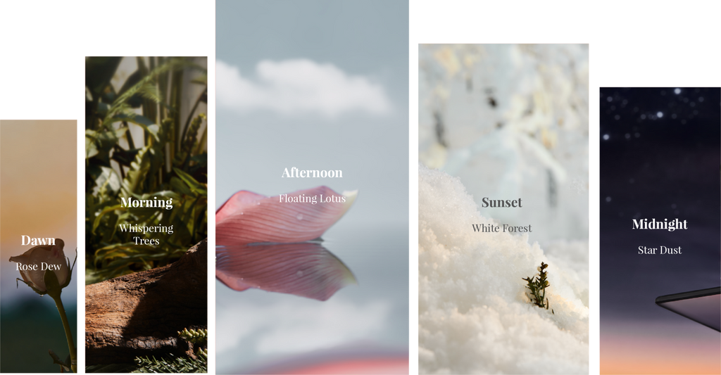 Our Selection of Fragrance