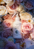 Fabric Spray-RD